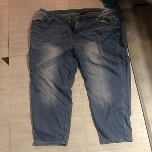 Lane Bryant long capri size 28